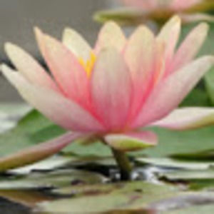 Meet your Posher, Maricruz